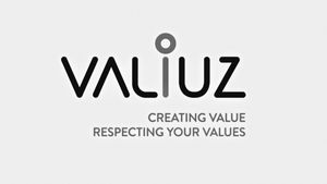 VALIUZ Groupe Mulliez B2B